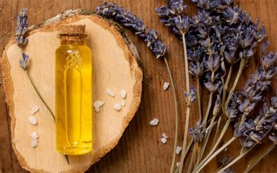 Guide complet de l’aromathérapie : utilisations au quotidien, conseils de dilution, et recettes pour une utilisation optimale